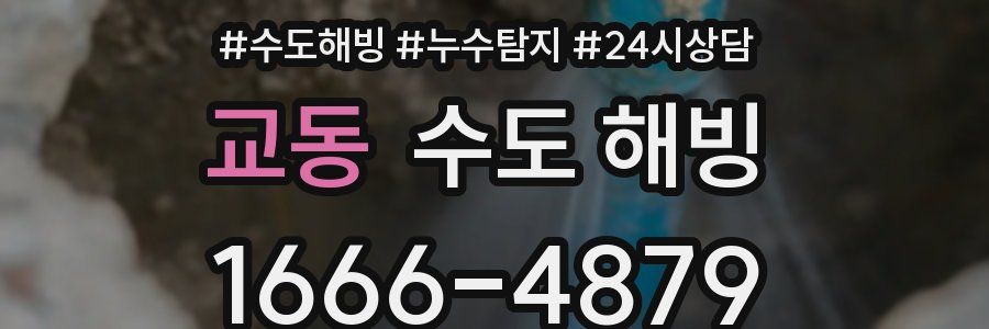 교동 수도 해빙