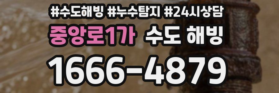 중앙로1가 수도 해빙