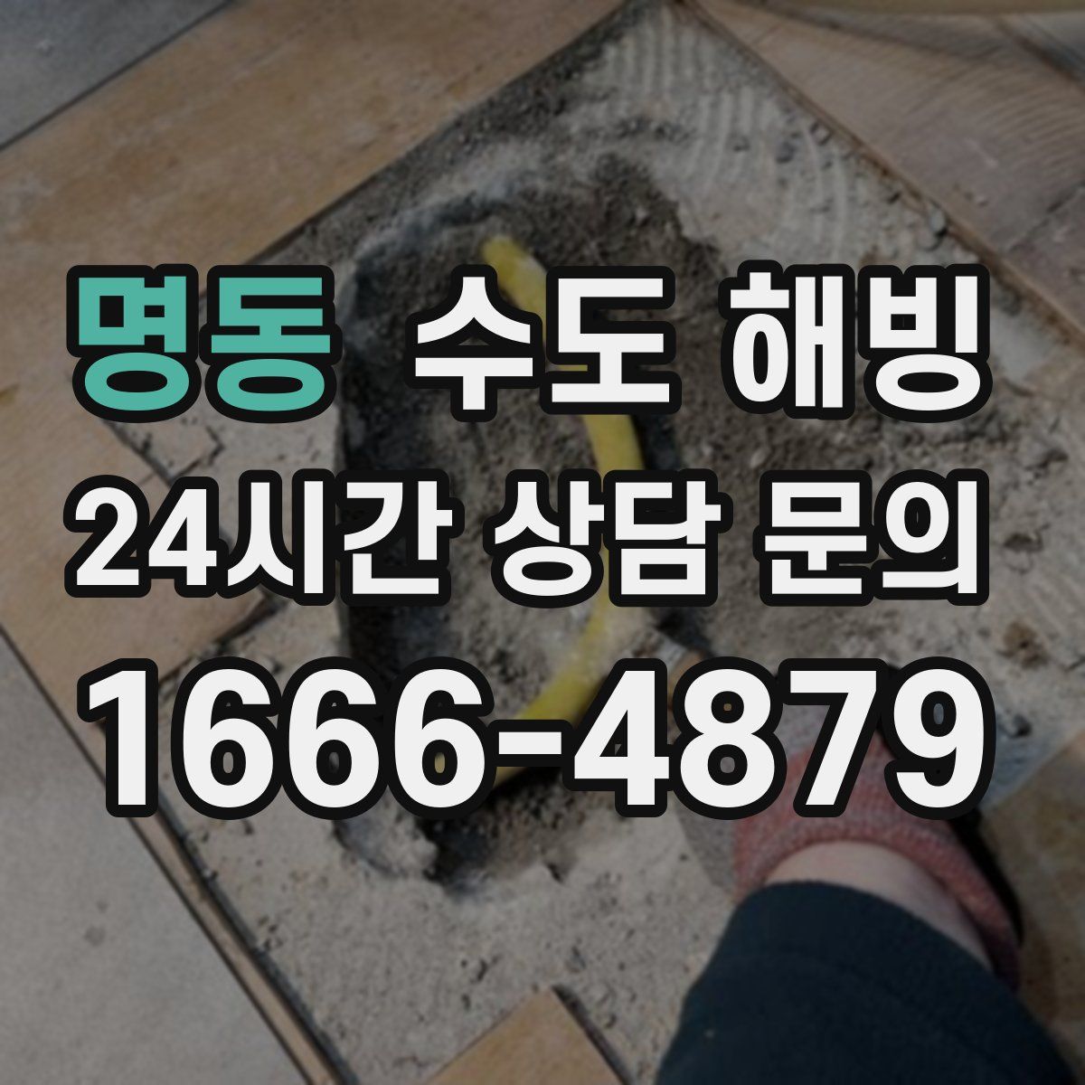 명동 수도 해빙