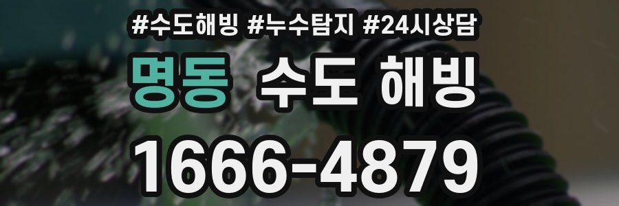 명동 수도 해빙