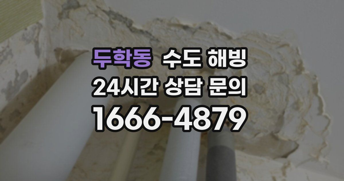 두학동 수도 해빙