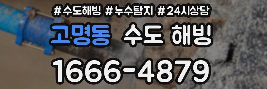 고명동 수도 해빙
