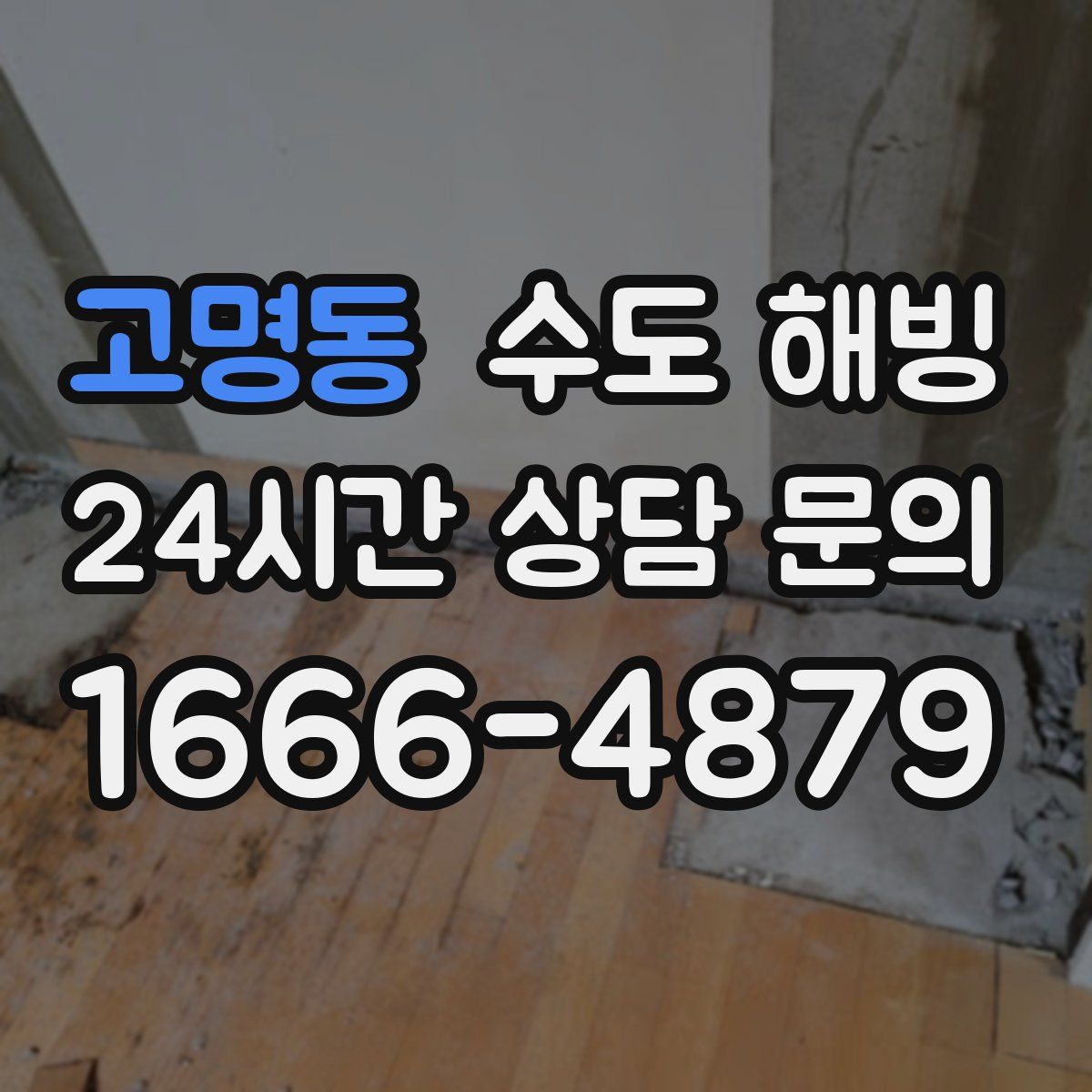 고명동 수도 해빙