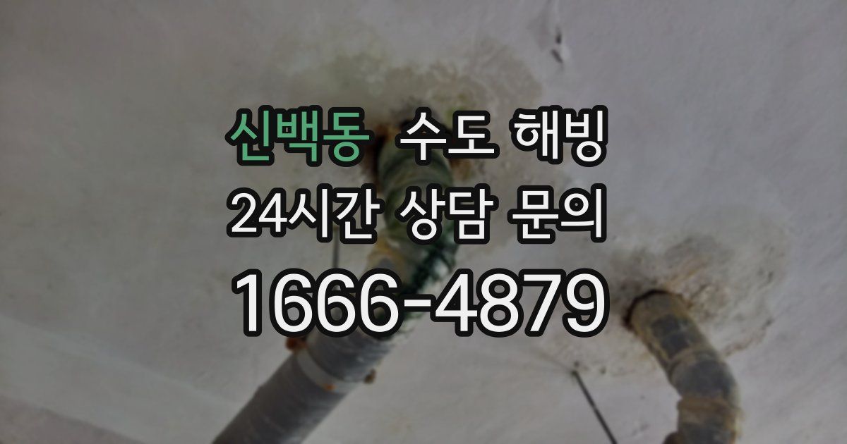 신백동 수도 해빙