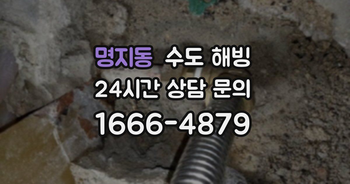 명지동 수도 해빙