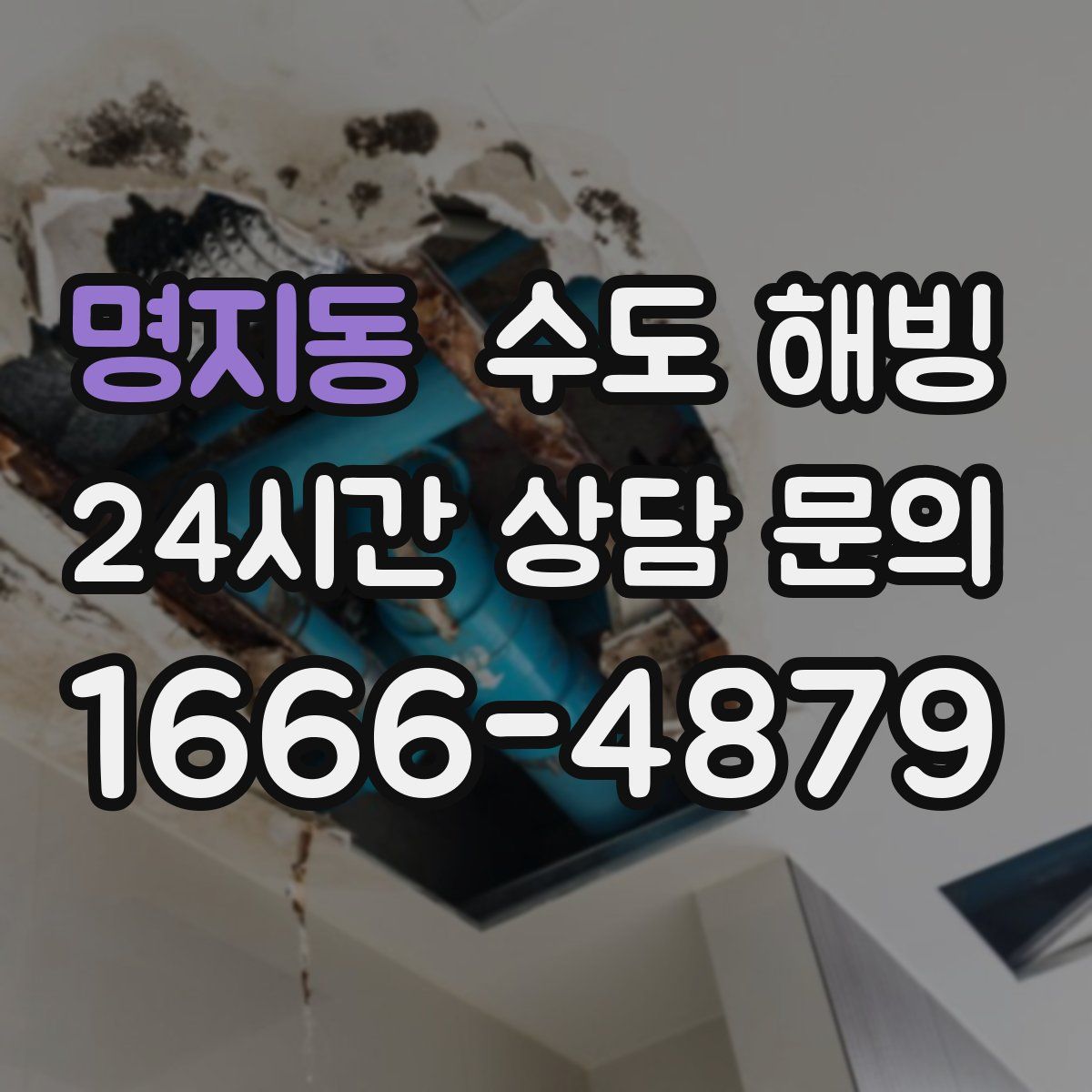 명지동 수도 해빙