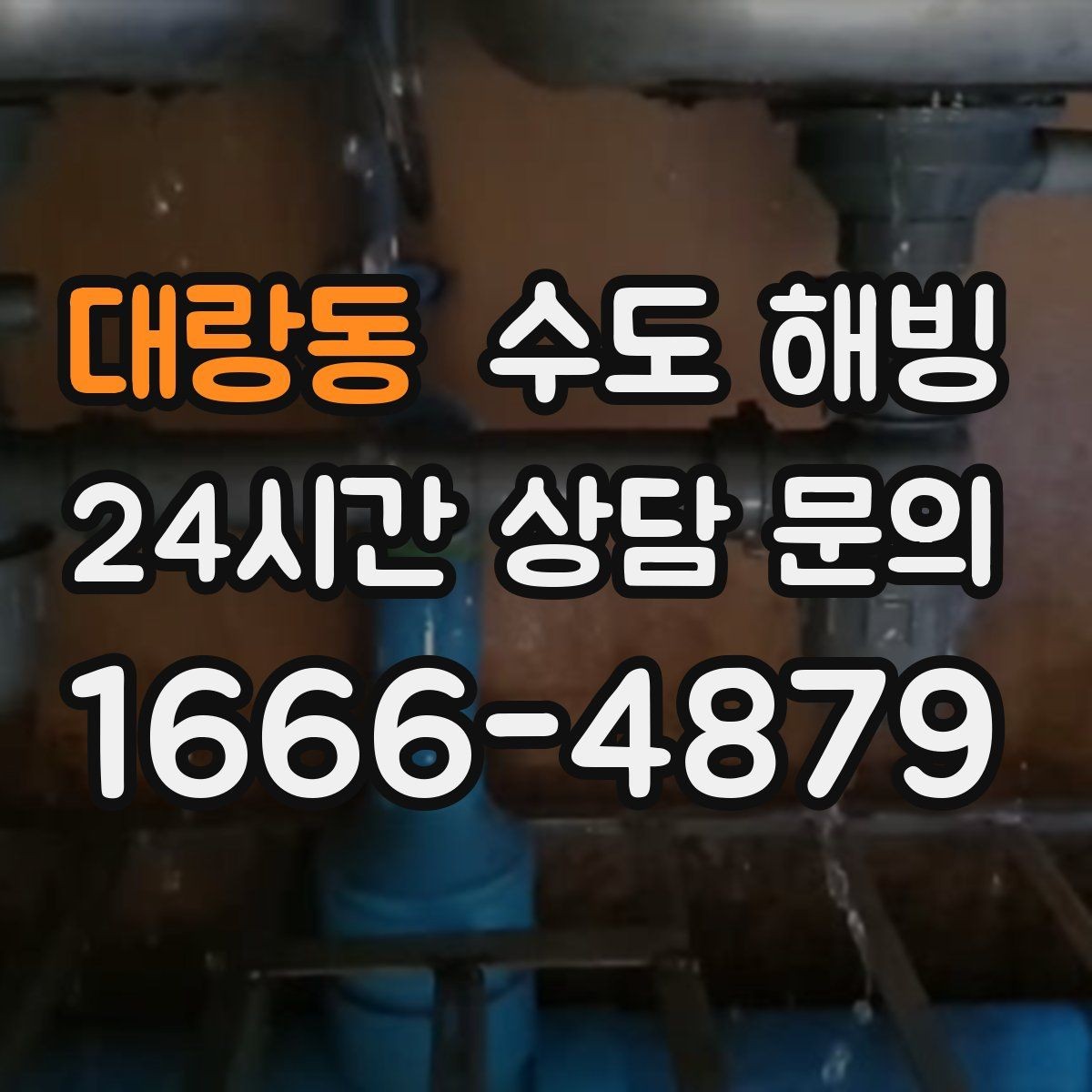 대랑동 수도 해빙 집에서 할 수 있는 범위와 한계