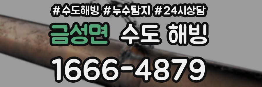 금성면 수도 해빙