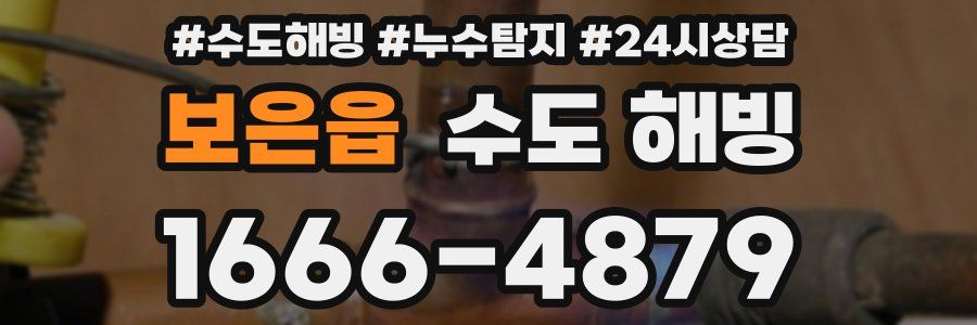 보은읍 수도 해빙