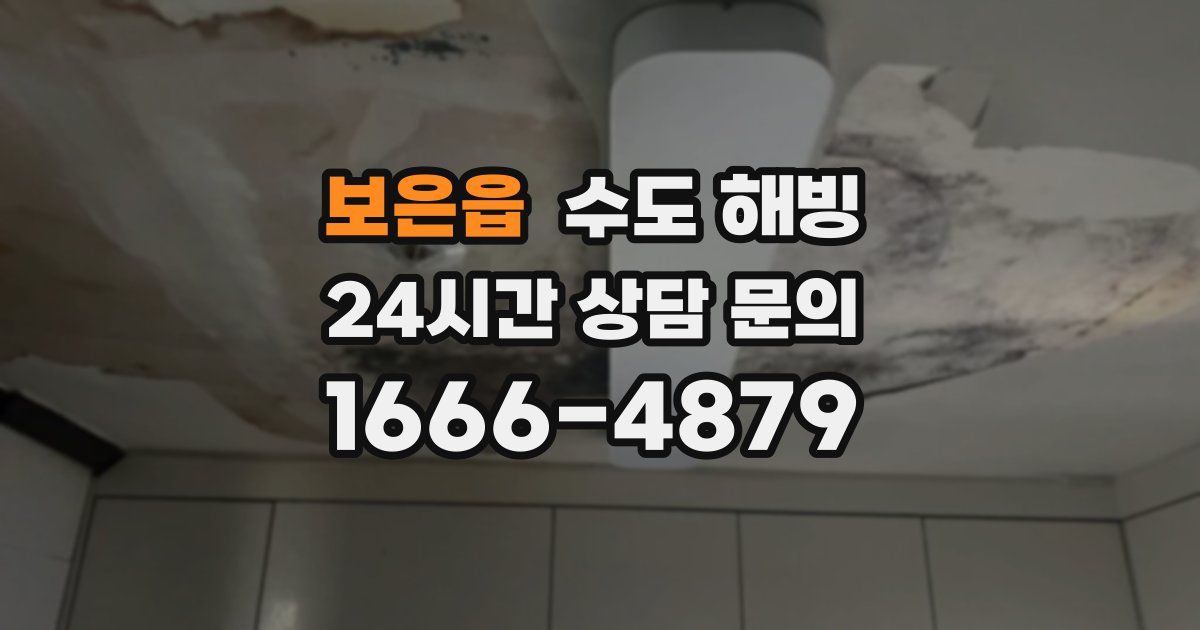 보은읍 수도 해빙