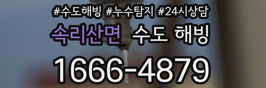 속리산면 수도 해빙