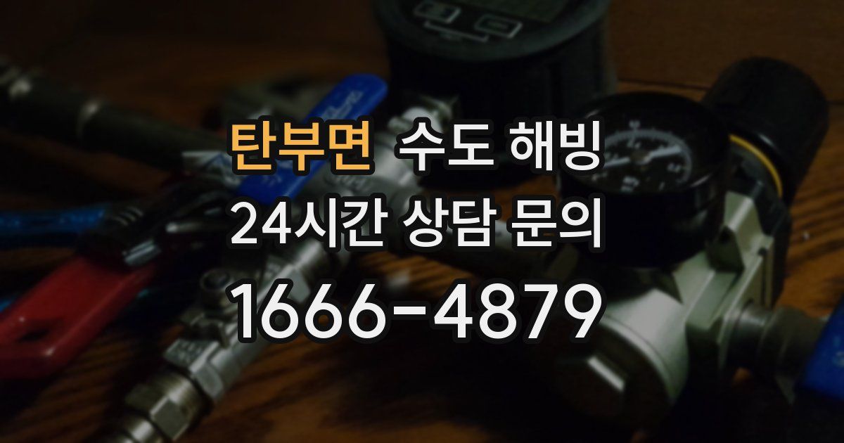 탄부면 수도 해빙