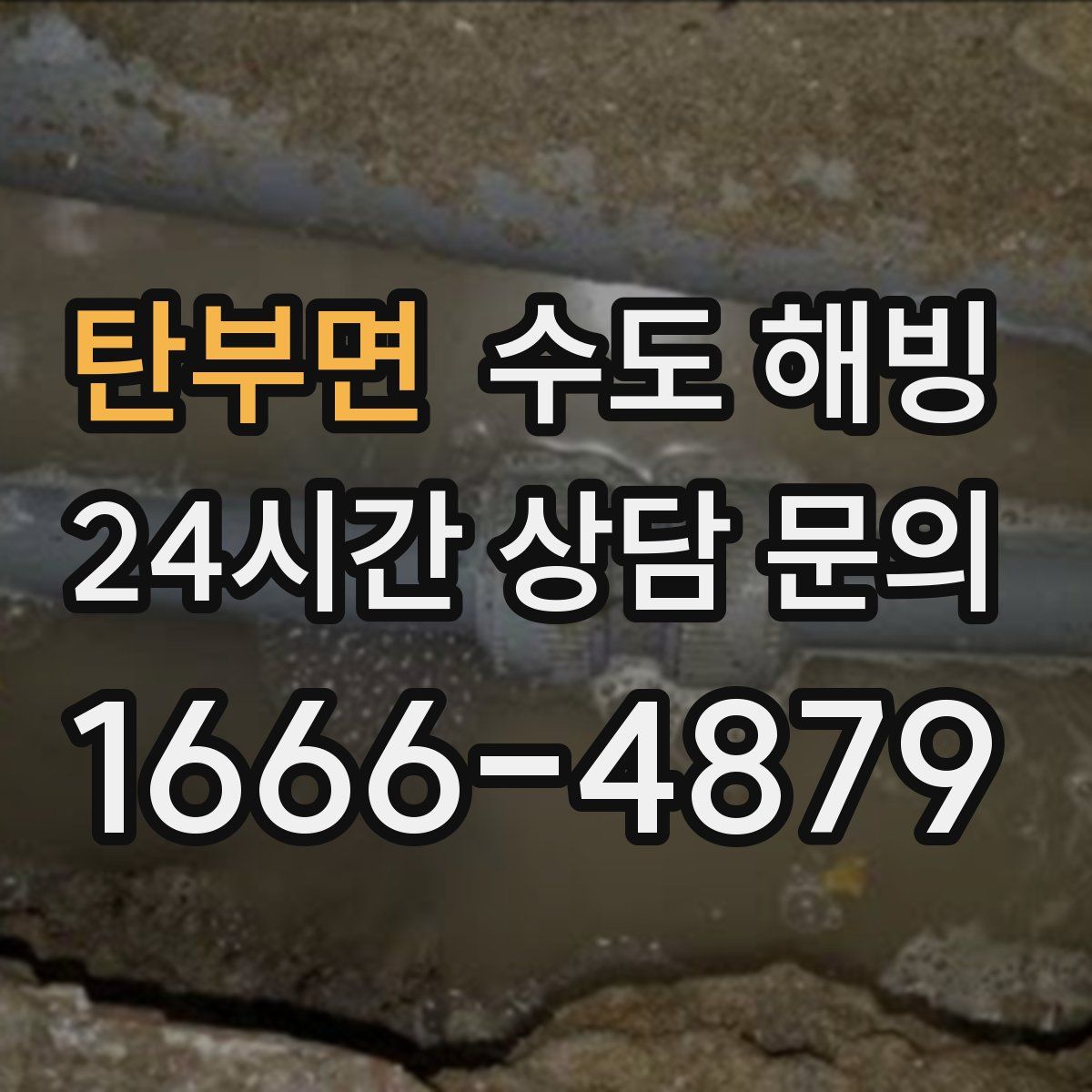 탄부면 수도 해빙