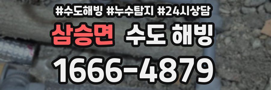 삼승면 수도 해빙