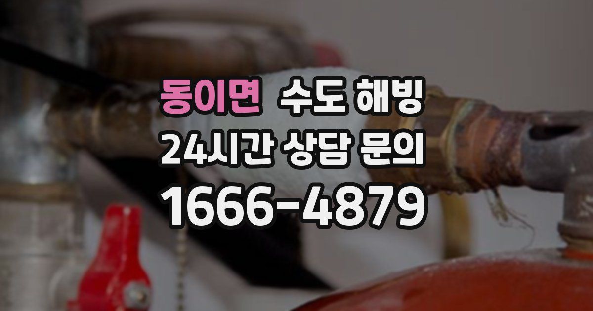 동이면 수도 해빙