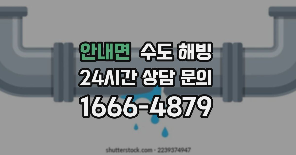 안내면 수도 해빙