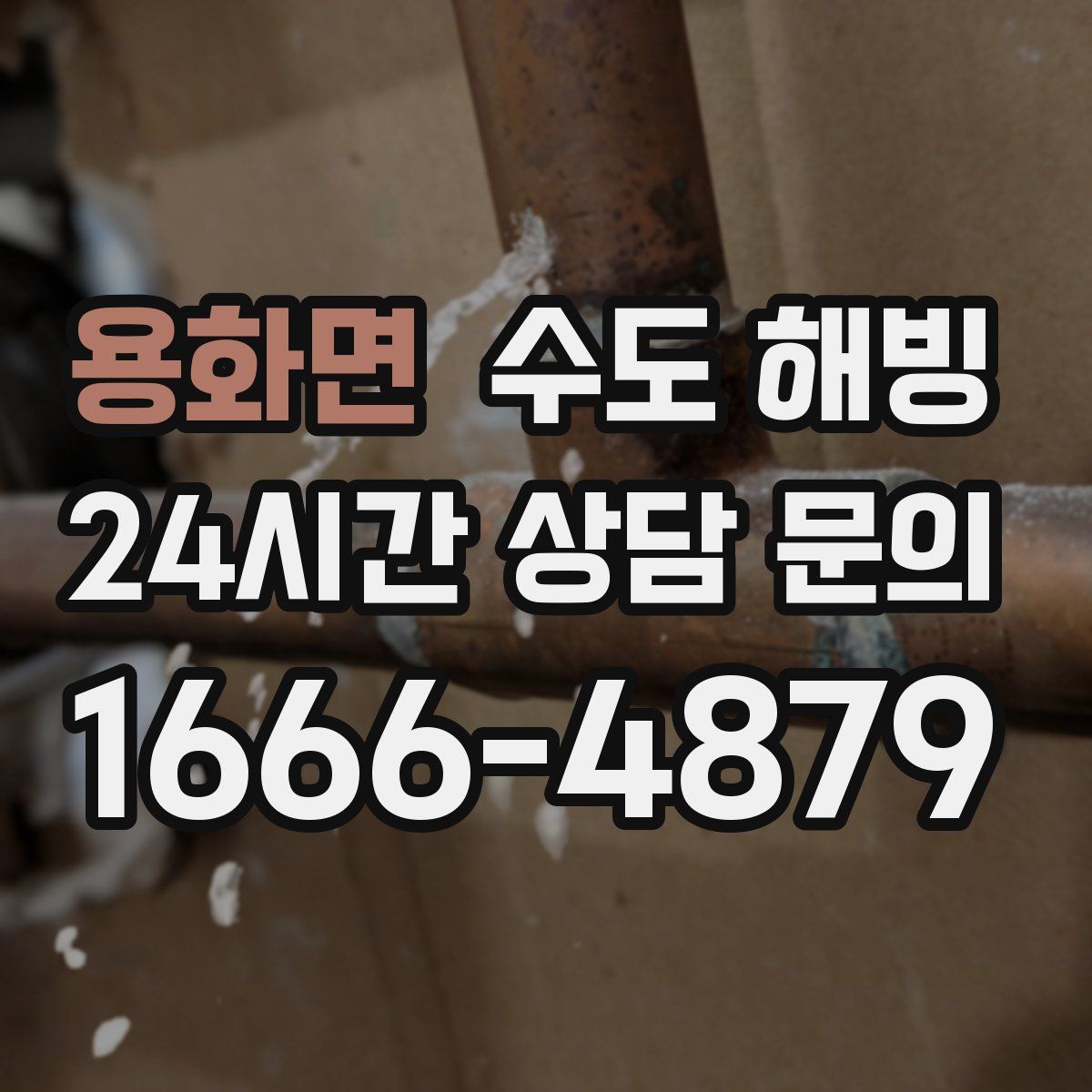 용화면 수도 해빙