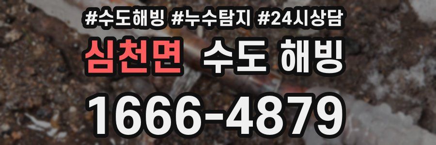 심천면 수도 해빙