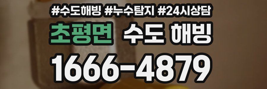 초평면 수도 해빙