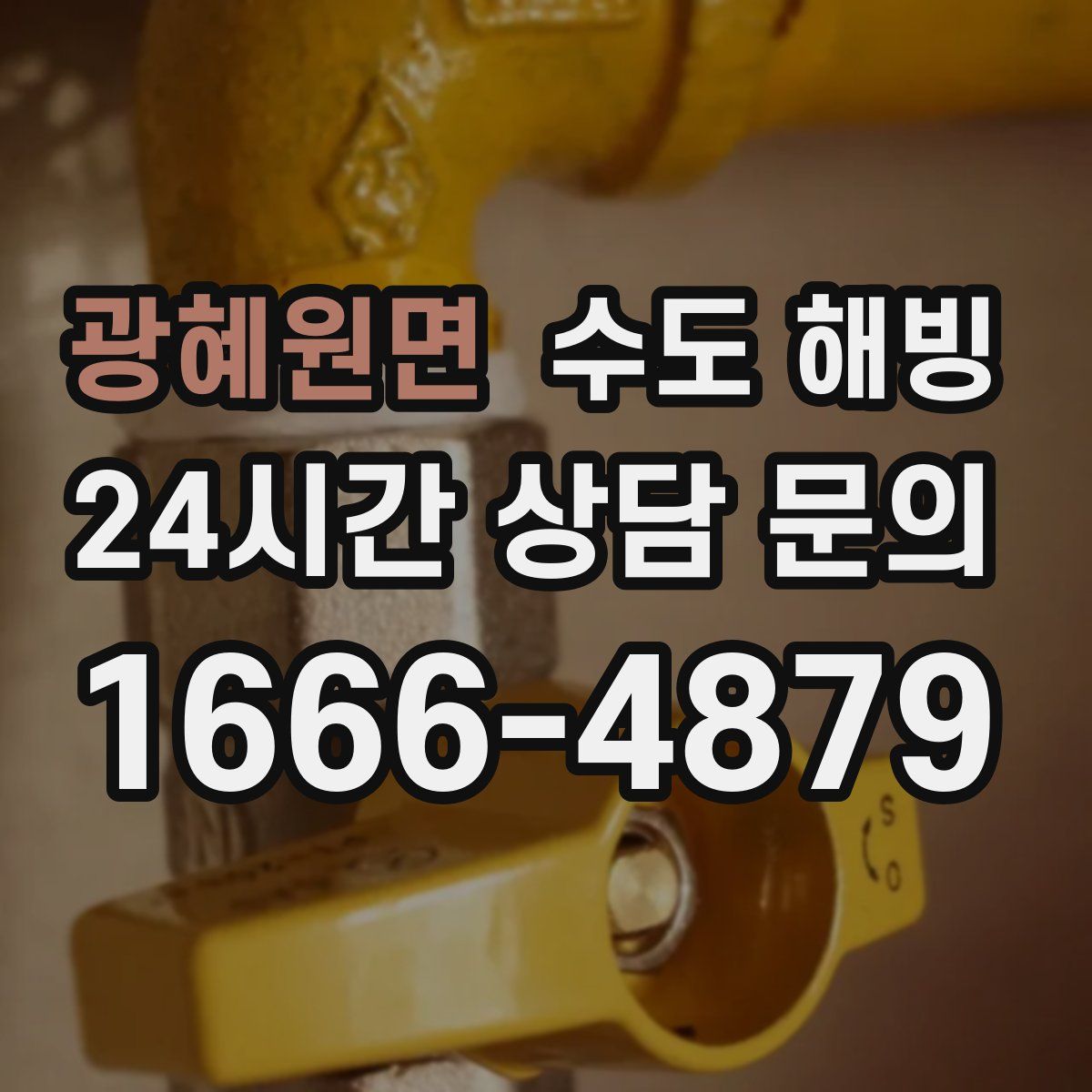 광혜원면 수도 해빙