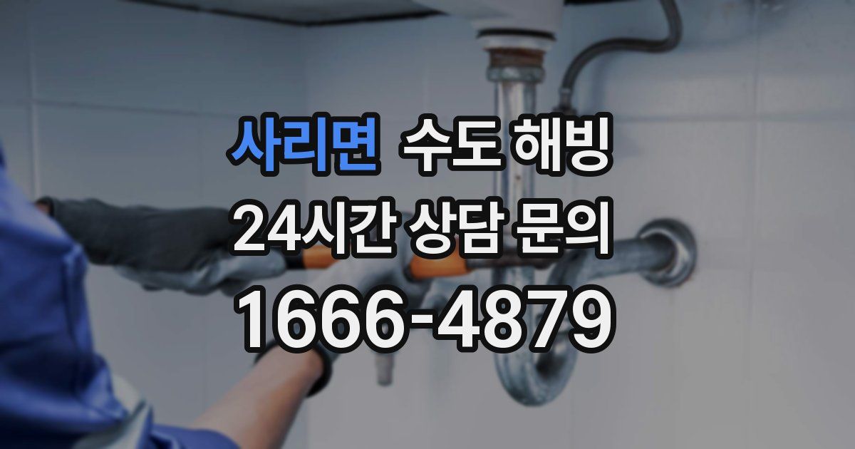 사리면 수도 해빙