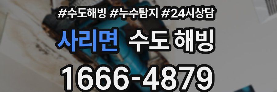 사리면 수도 해빙