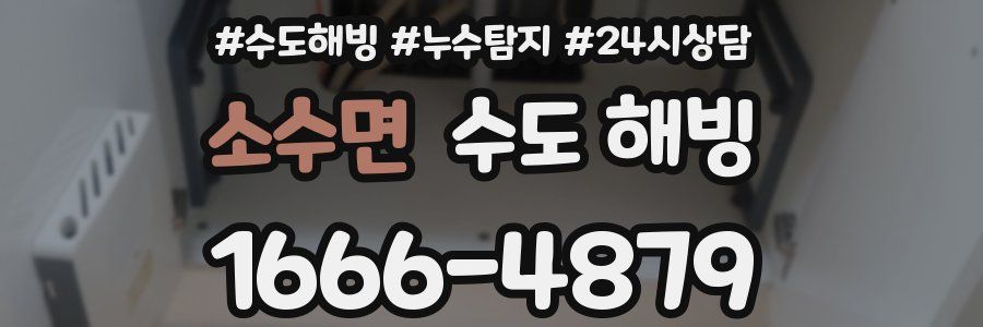 소수면 수도 해빙