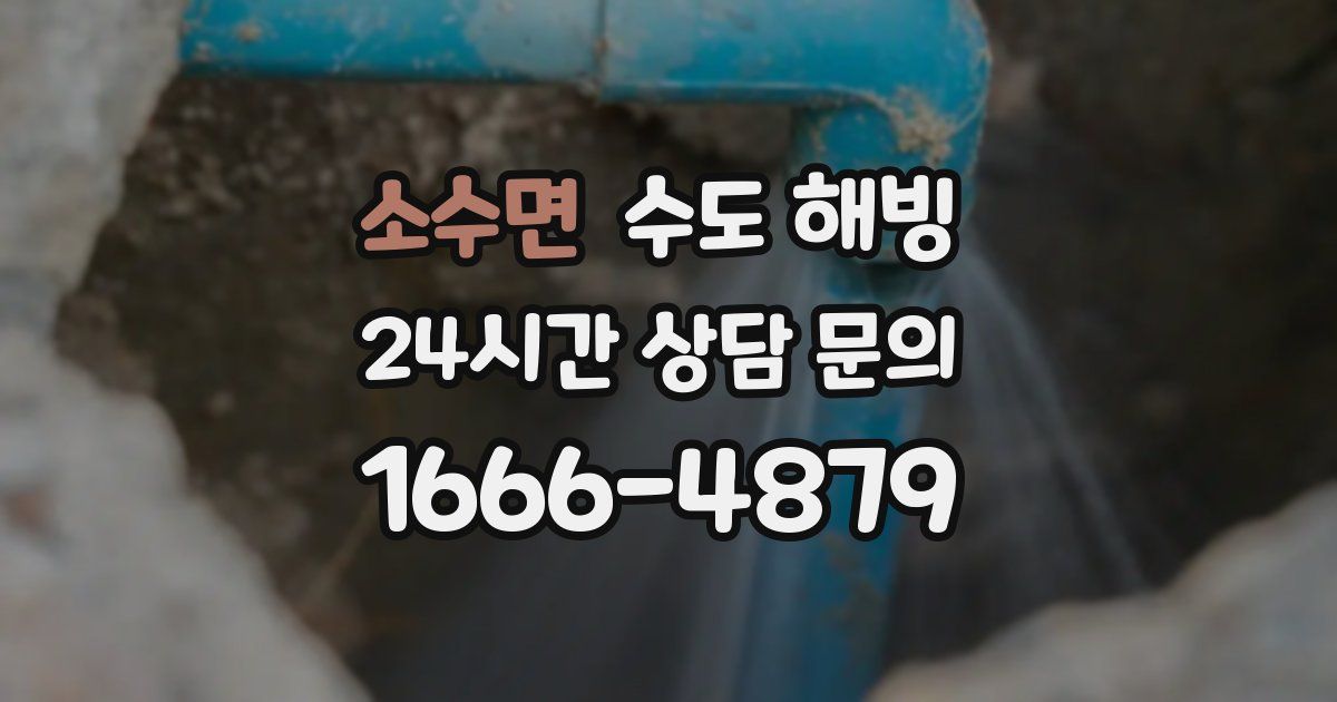 소수면 수도 해빙