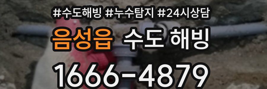 음성읍 수도 해빙