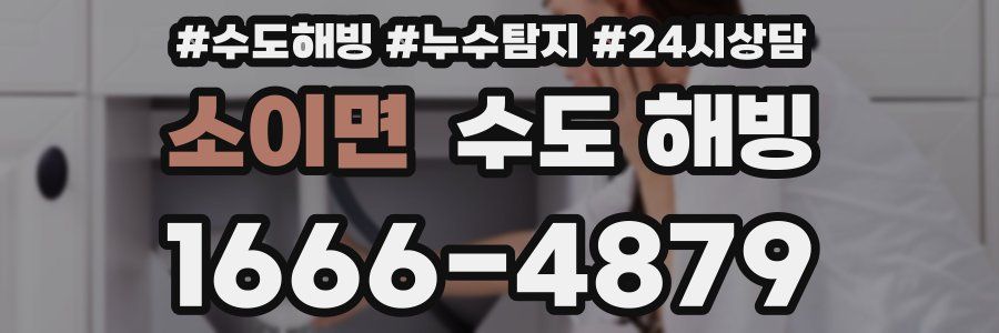 소이면 수도 해빙