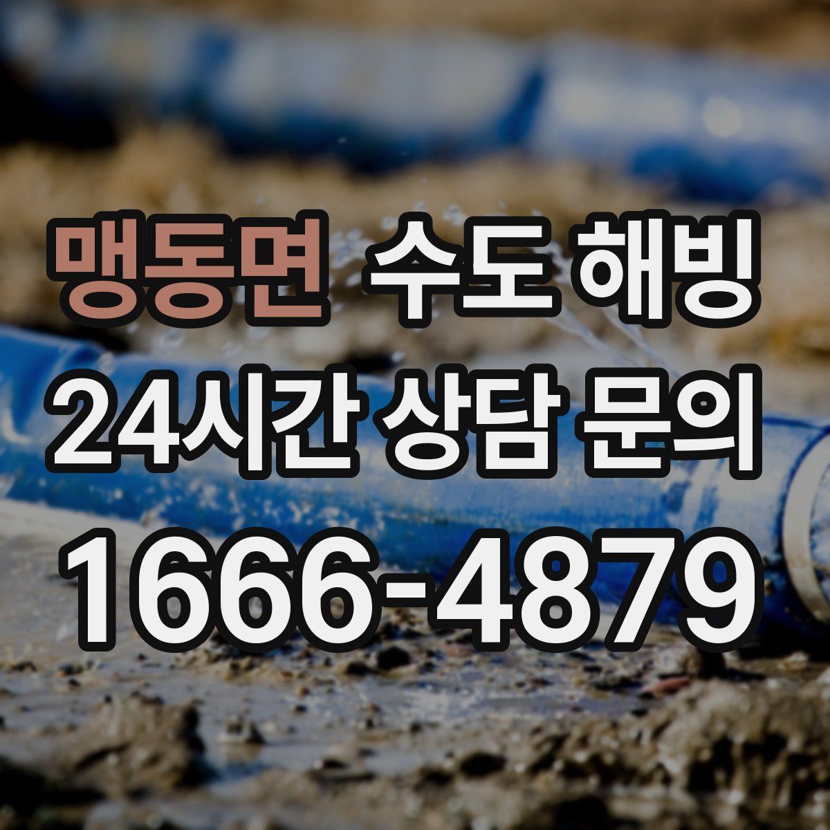 맹동면 수도 해빙