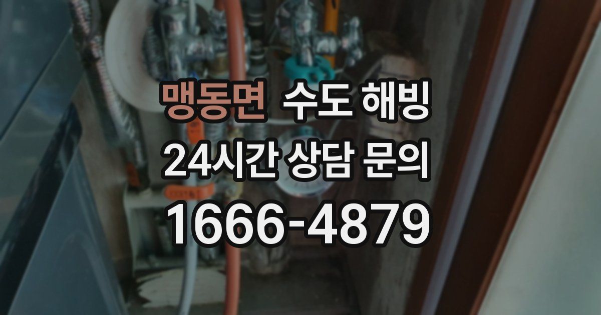 맹동면 수도 해빙