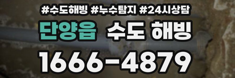 단양읍 수도 해빙