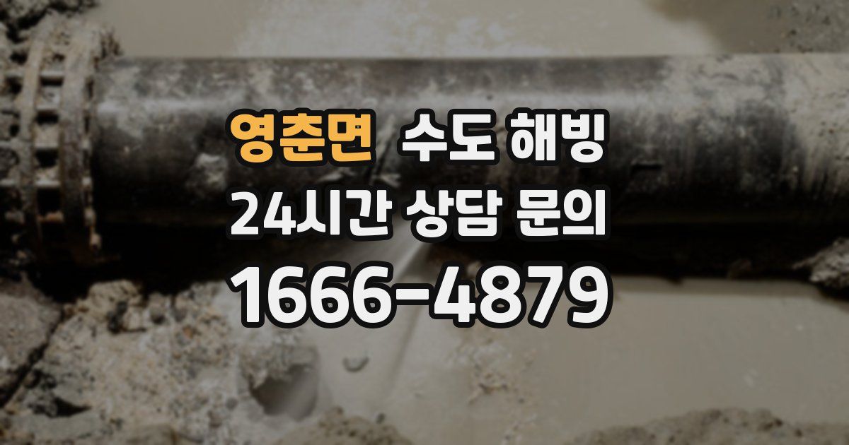 영춘면 수도 해빙