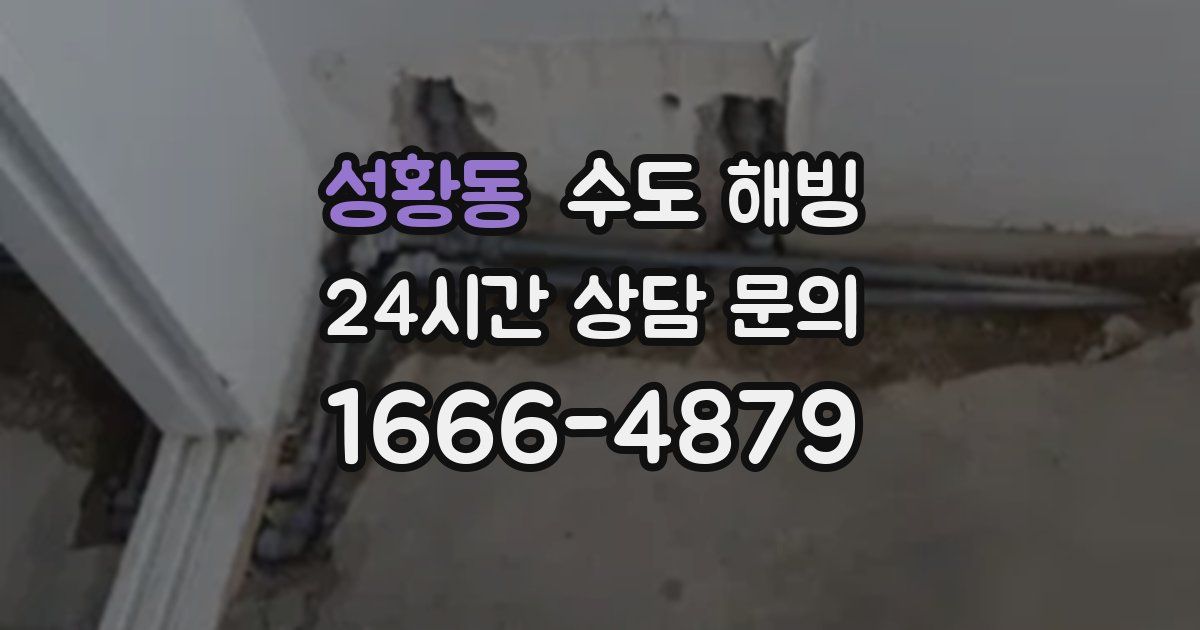 성황동 수도 해빙