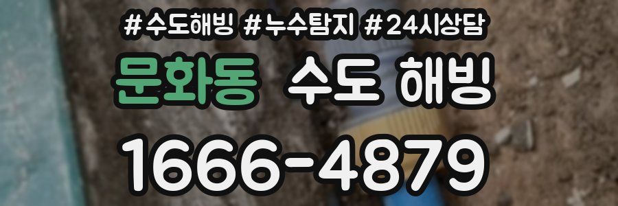 문화동 수도 해빙