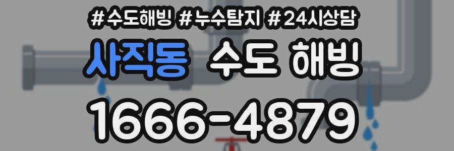 사직동 수도 해빙