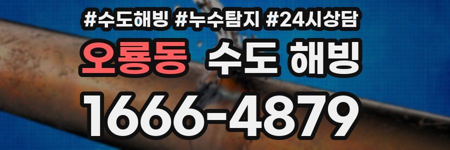 오룡동 수도 해빙
