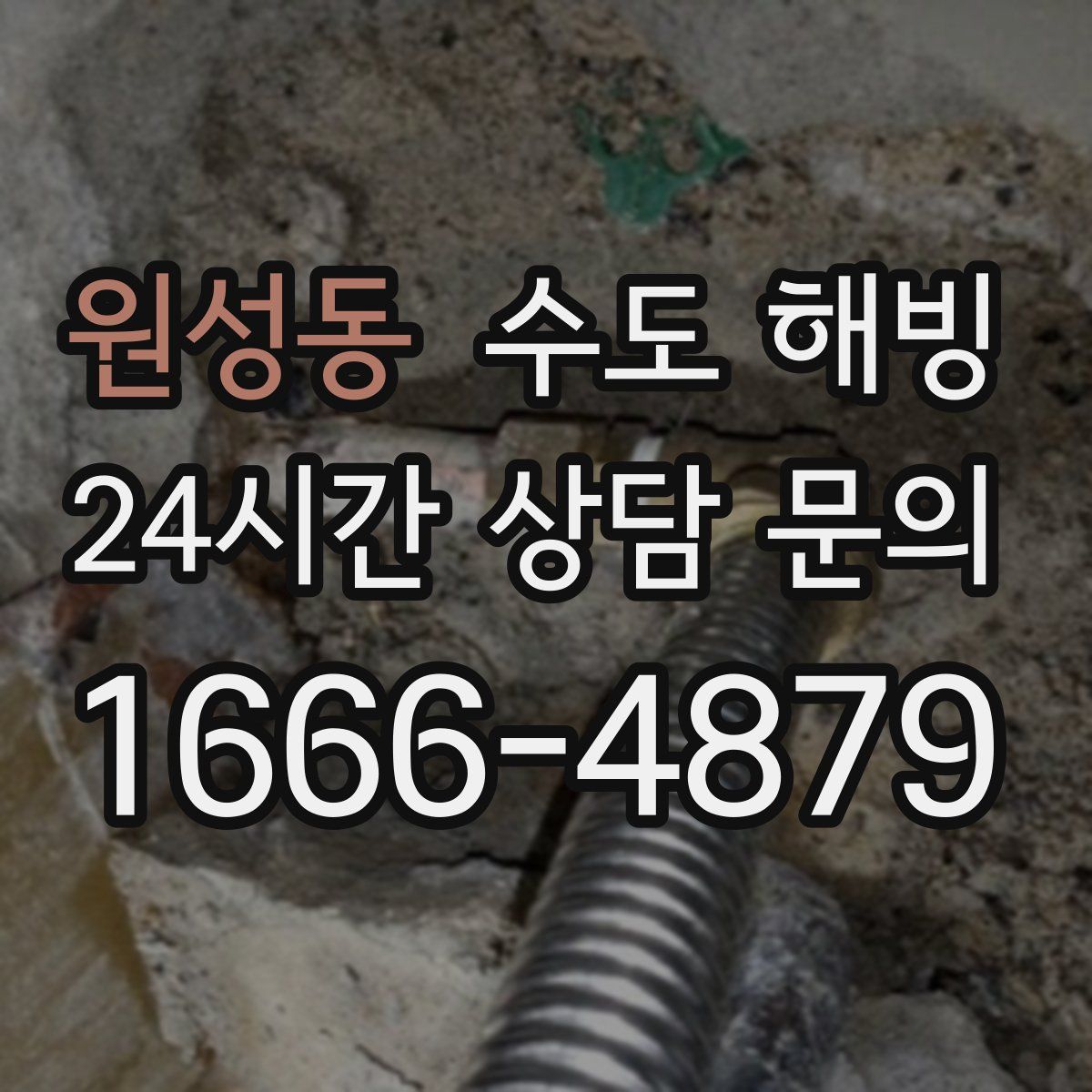 원성동 수도 해빙