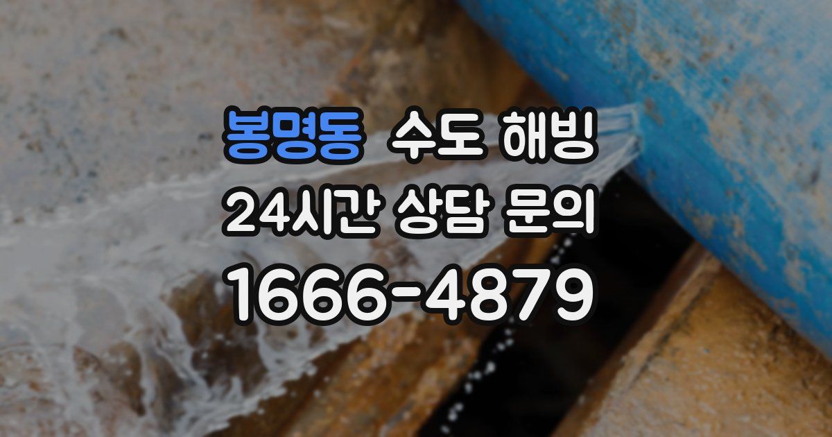 봉명동 수도 해빙