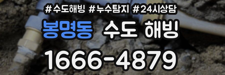 봉명동 수도 해빙