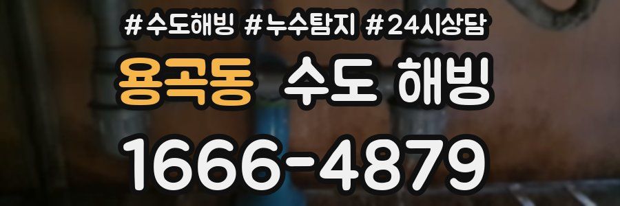 용곡동 수도 해빙