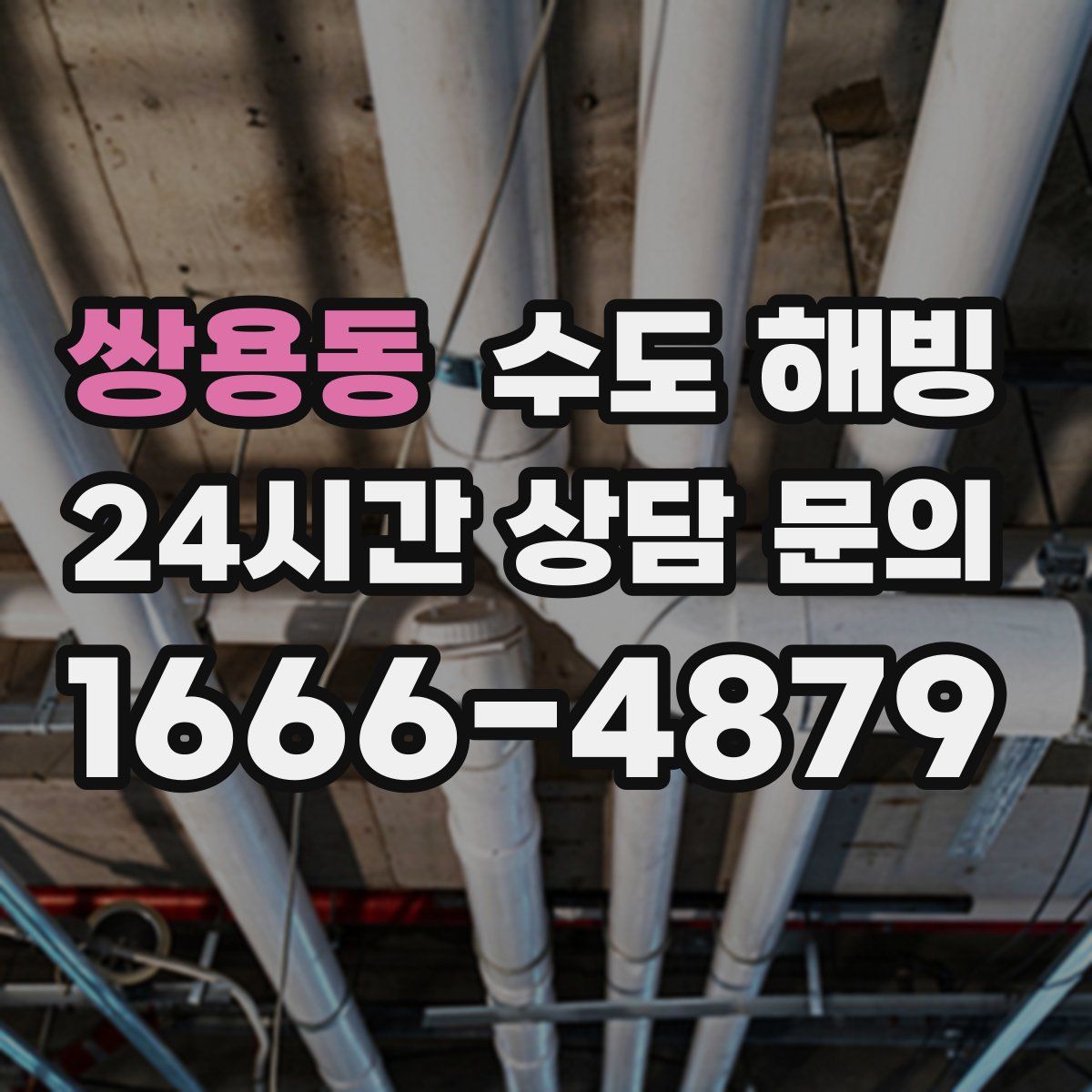 쌍용동 수도 해빙