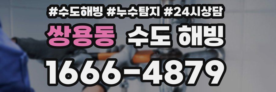 쌍용동 수도 해빙