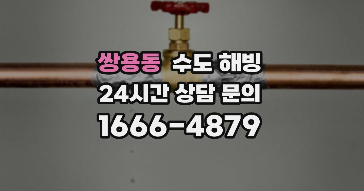 쌍용동 수도 해빙