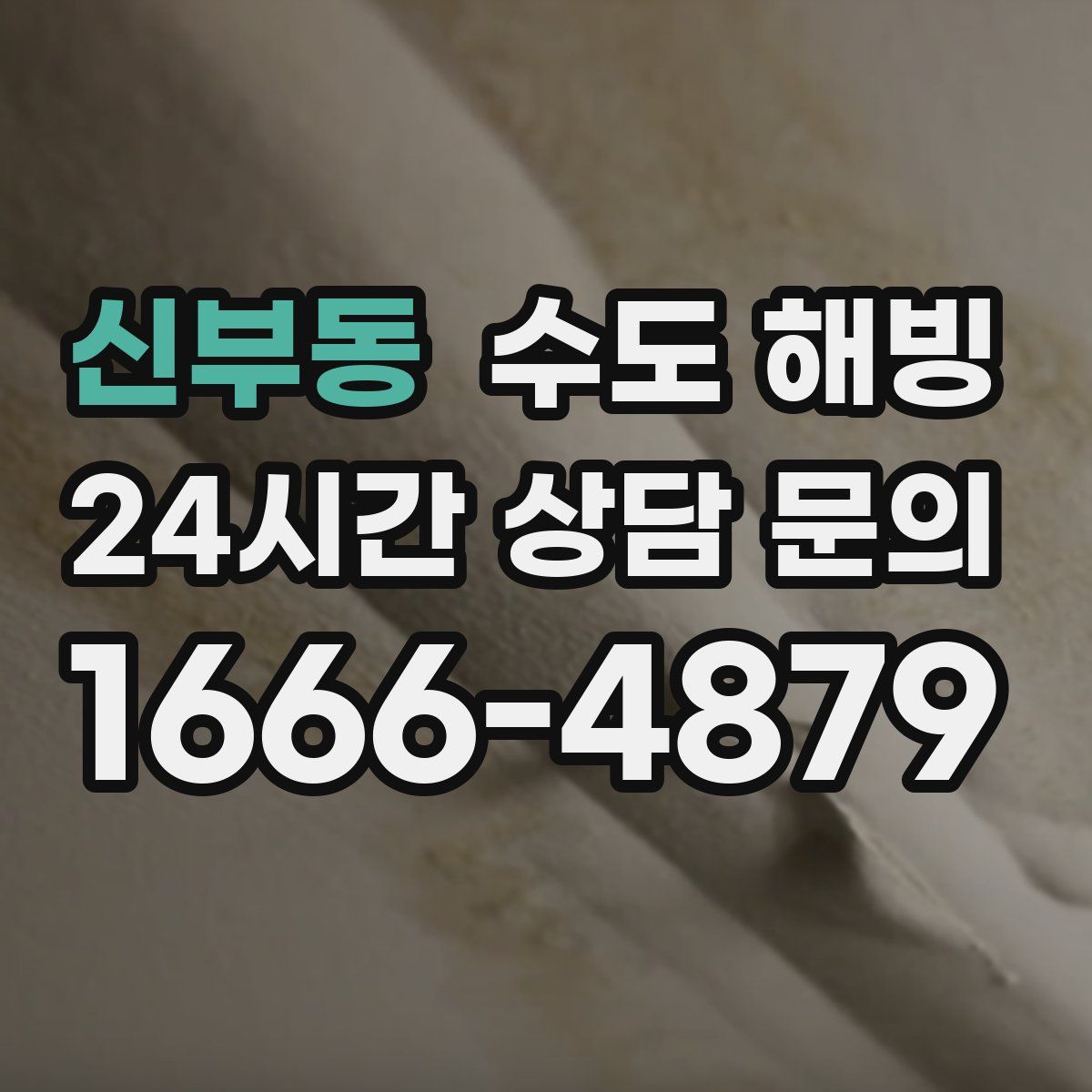 신부동 수도 해빙