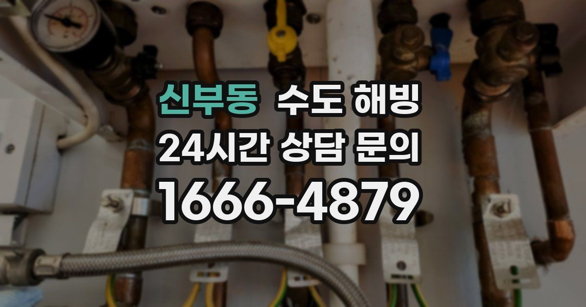 신부동 수도 해빙