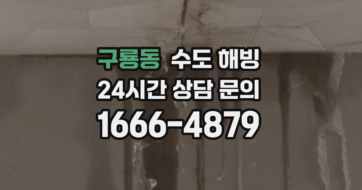 구룡동 수도 해빙