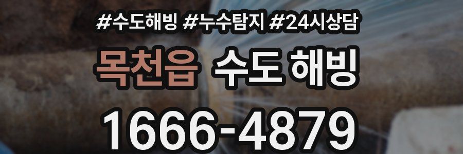 목천읍 수도 해빙