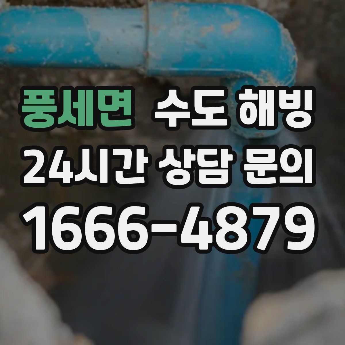 풍세면 수도 해빙